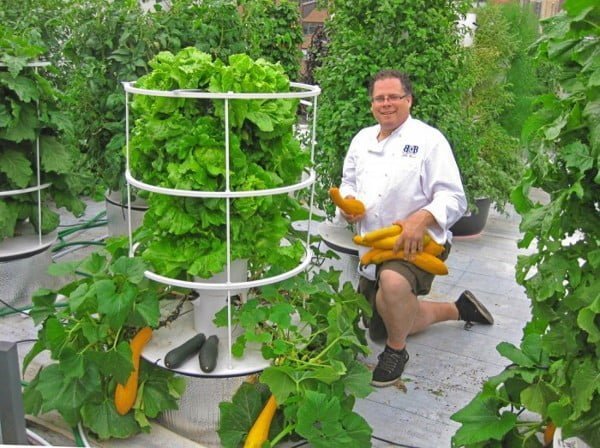 hydroponic gardening