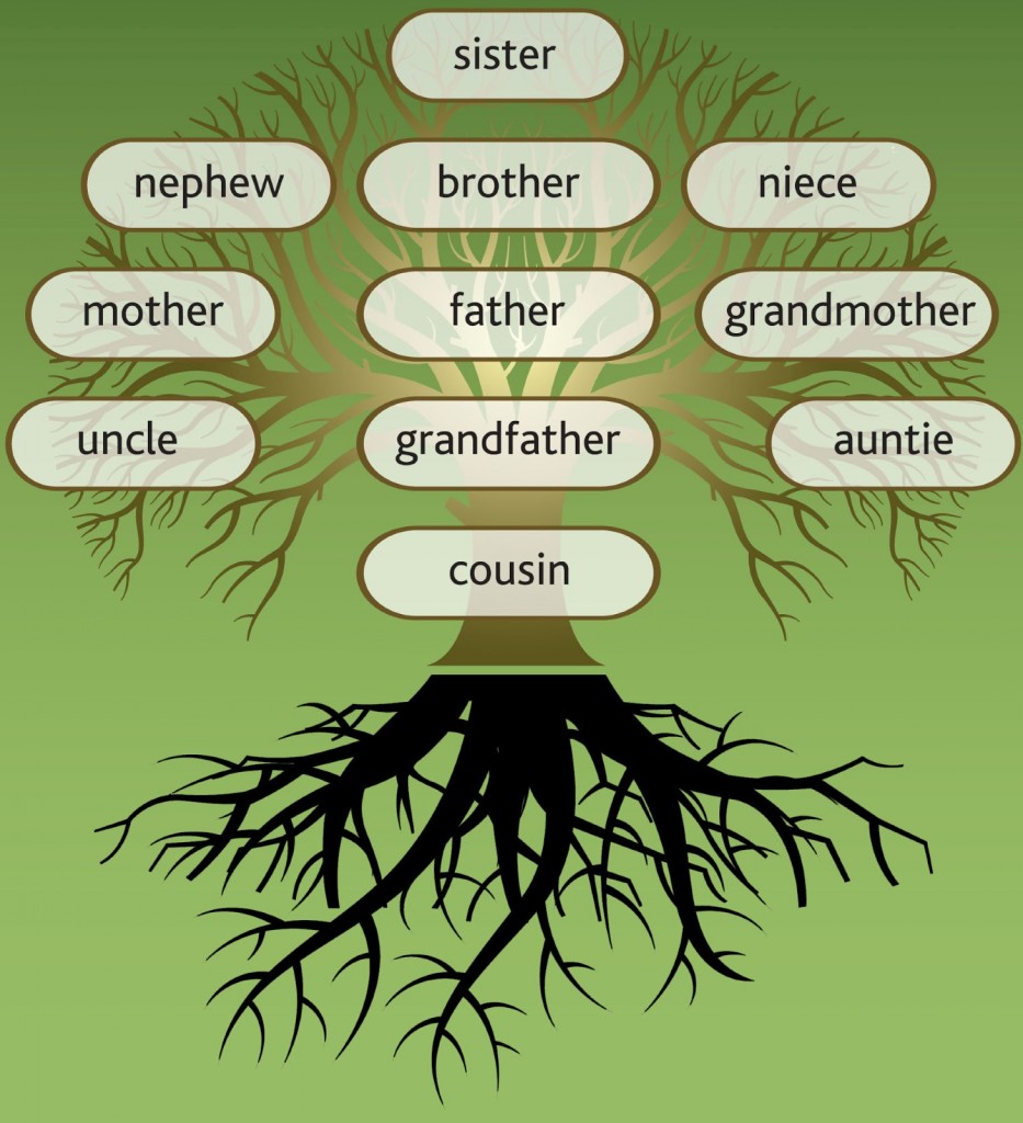 How Family Tree Workshops and Webinars Can Help Your Research