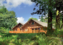 Conifer Lodges in South West Scotland