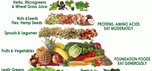Vegetarian Diet - Why is it Recommended by Doctors?