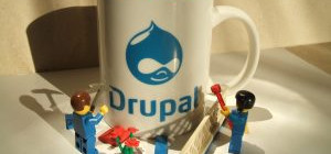 8 Reasons You Should Use Drupal