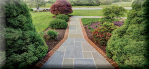 Ideas For Your Spring Landscaping