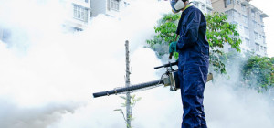 What Can Extermination Services Do For You?