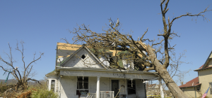 Most Common Types of Damage Caused to the Home