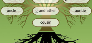 How Family Tree Workshops and Webinars Can Help Your Research