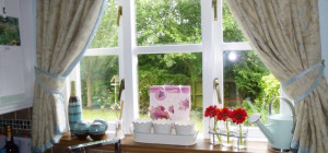 Shopping Options for Replacement Windows