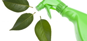 The Importance of Green Cleaning