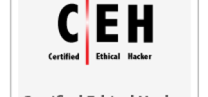 Ethical Hackers: Roles and Skills
