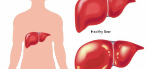 The Danger of Hepatitis and How It can be Caused
