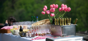 5 Excellent Outdoor Party Themes