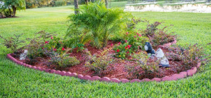 5 Landscaping Elements That Will Change the Appearance of Your Backyard