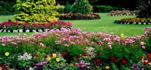 Enjoy the Benefits of Hiring Competent Lawn Maintenance and Landscaping Company