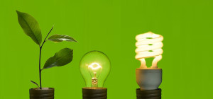Sustainability Sourcing – Why Businesses Need to Consider the Source of Their Electricity
