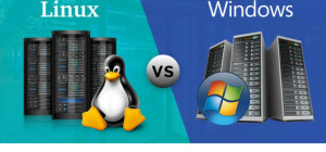 Linux or Windows VPS Hosting – Which is the right choice for you?