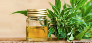 Is Your CBD Oil from A Legitimate Source?