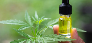 The Top 7 Benefits of Taking CBD