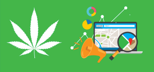 SEO Tips to Increase Cannabis Sales Online
