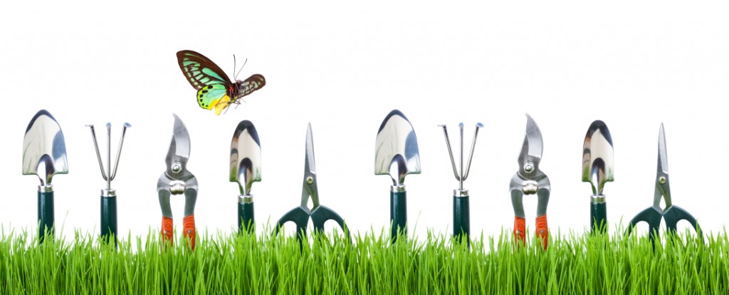 An overview on basic gardening tools