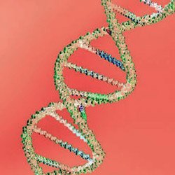 Why DNA Testing can Change Your Lifestyle