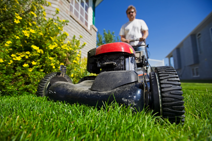 Starting Your Lawn Care Business From the Ground Up