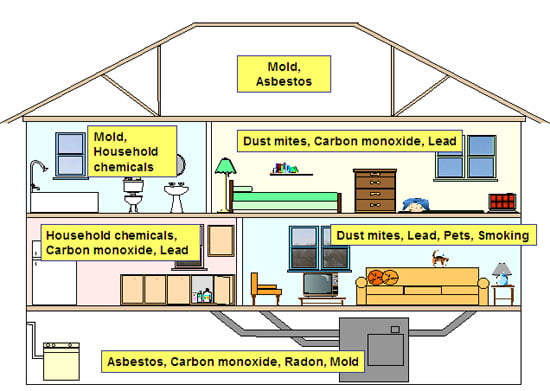 Some Dangers You Might Be Exposed to Inside Your Home