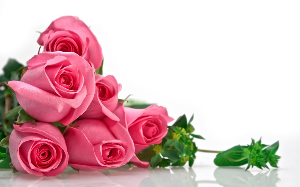 Why Bouquet Of Roses Are The Perfect Gift For Any Occasion