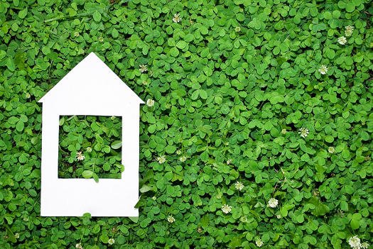 How to Make Your Home Improvement Project Eco-Friendly