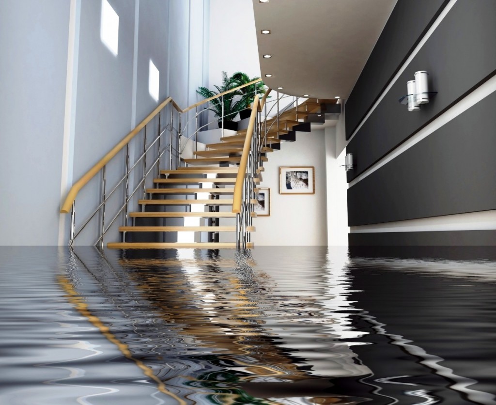 Avoiding Mold After Water Damage