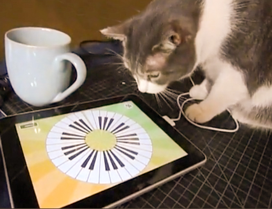 IOS and Android Apps for Cats