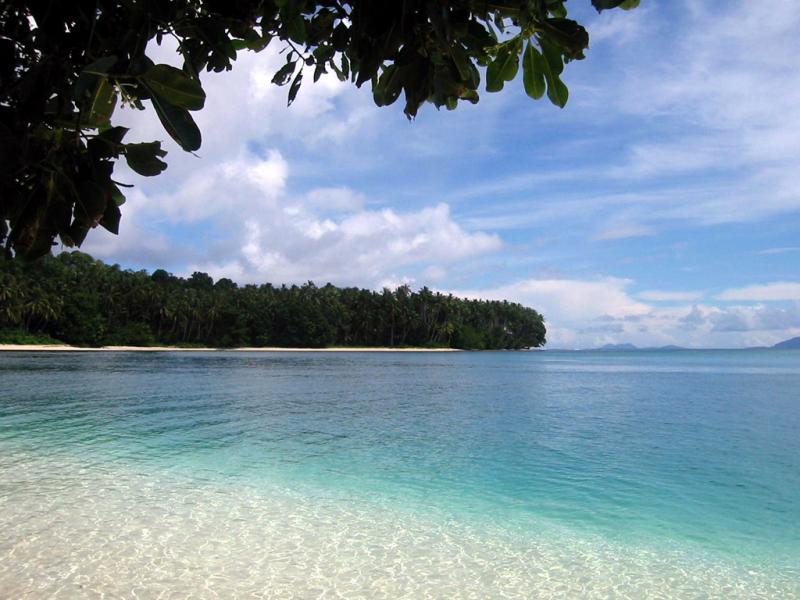Exotic Scuba Diving Opportunities in Solomon Islands