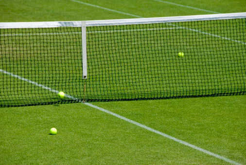 Building a Tennis Court in Your Household