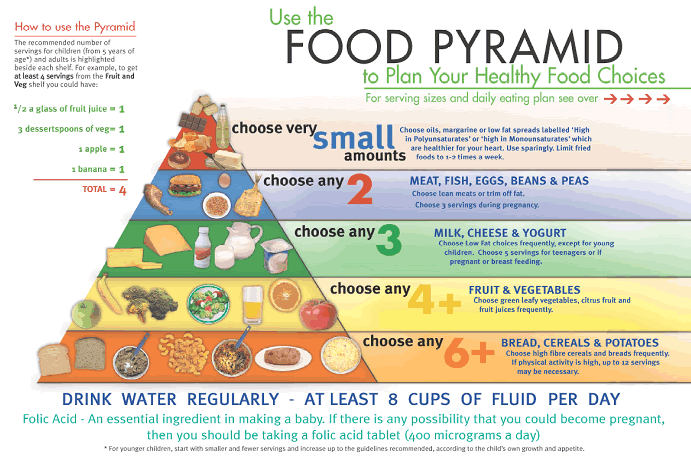 The Truth About the Food Guide Pyramid