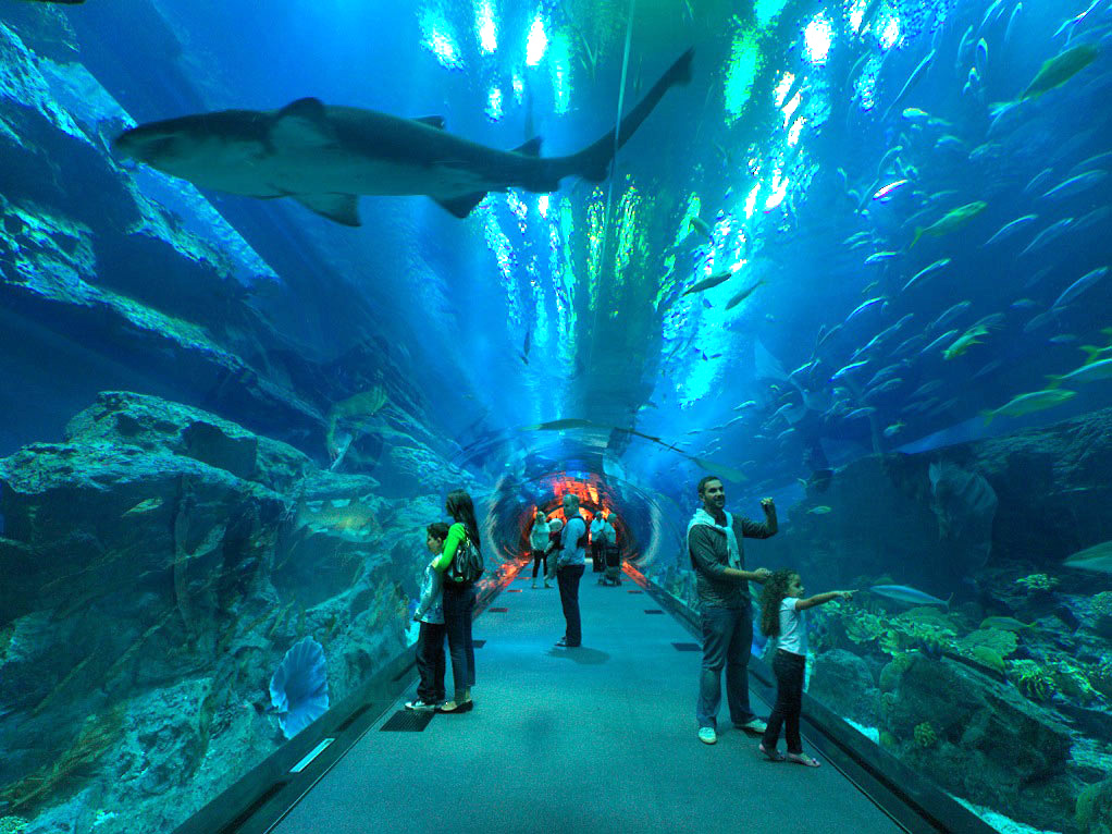 Holiday with Kids in Dubai-6 Amazing Places to See