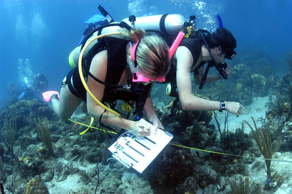 top-marine-biology-colleges-in-the-us