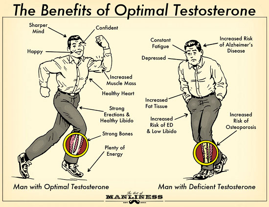 How Increased Testosterone Levels Contribute to Building Muscle and Weight Loss in Men