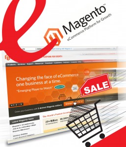Integrating Social Networks in Magento Online Stores