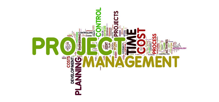 Types of Business Projects