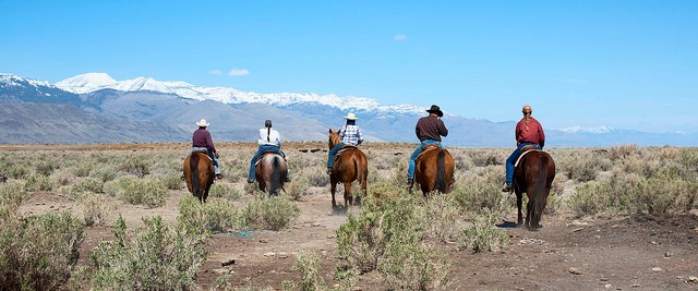 Ensure You Have Fun and Stay Safe on a Ranch Visit