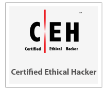 Skills Required for Ethical Hacking