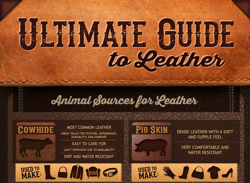 Ultimate Guide to Leather [Infographic]
