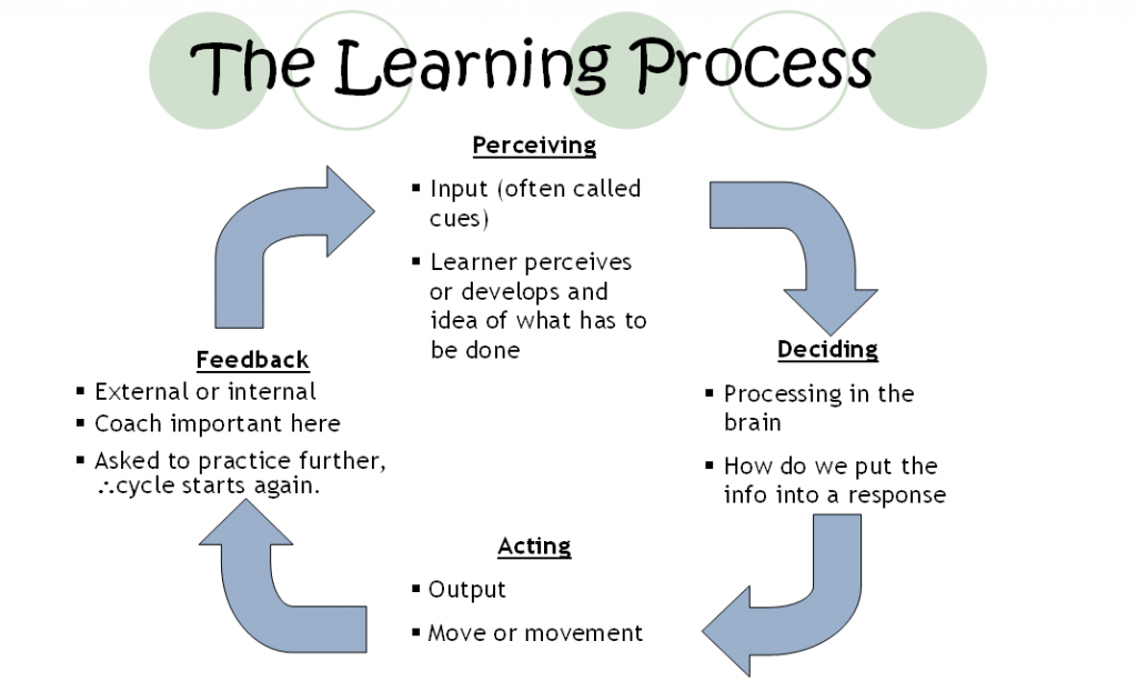 Five Ways to Support the Students in the Learning Process