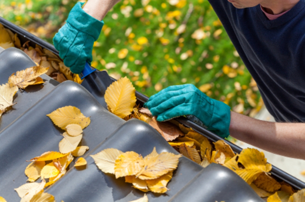Gutter Cleaning Professionals
