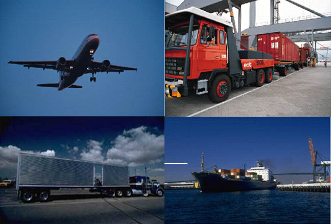 Working with Transport and Logistics For Efficient Shipping Management