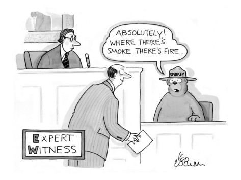 Reasons Why It Is a Good Idea to Use an Expert Witness