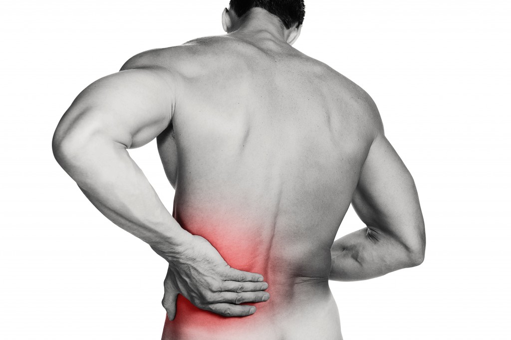 Getting Throughout the Day With Reduced Back Pain