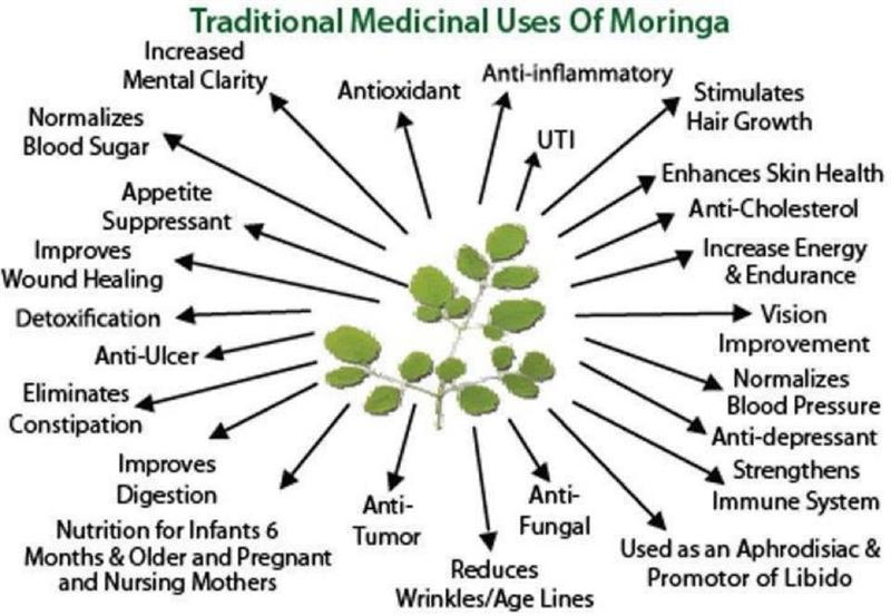 Moringa Powder Capsules: Nutrition and Energy On-The-Go