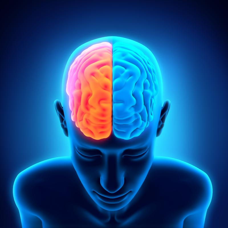 Types of Brain Enhancement Supplements for Improving Brain Function