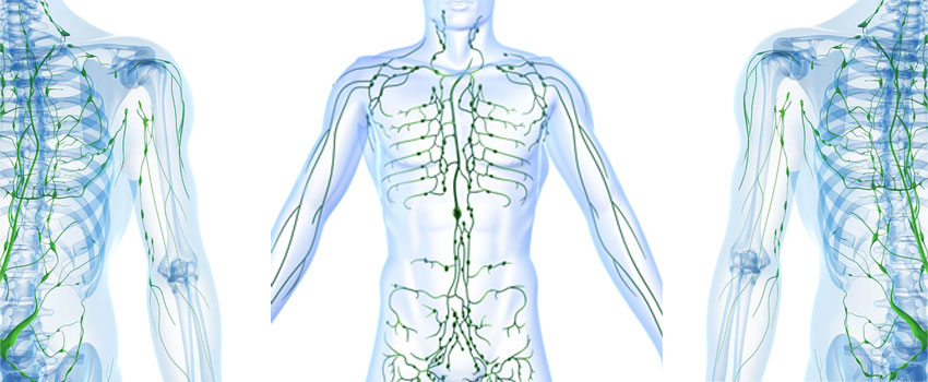 10 Ways to Support the Lymphatic System
