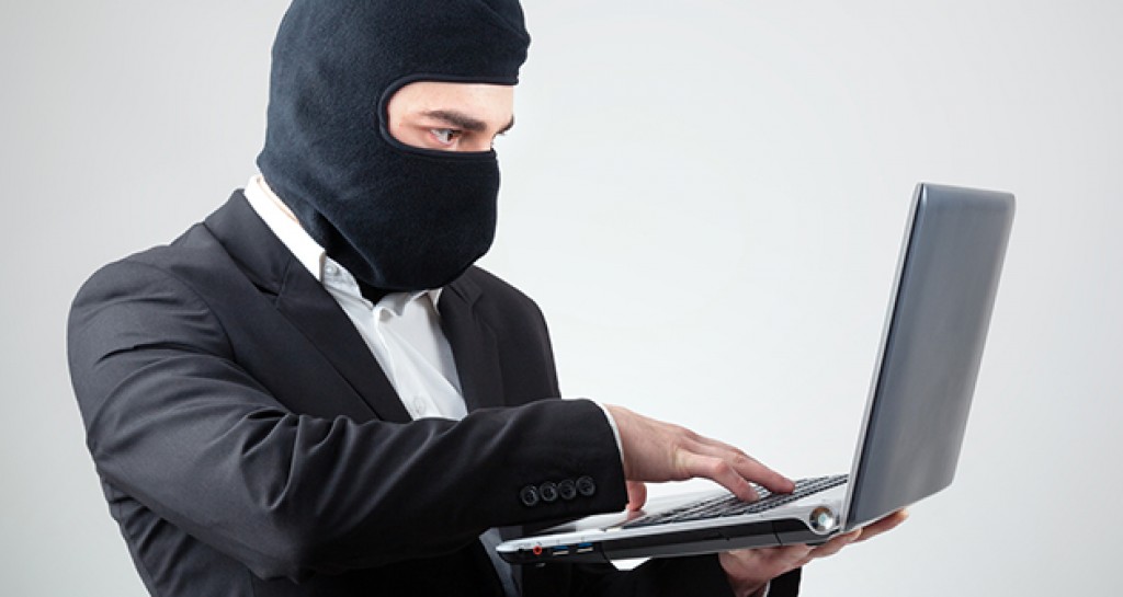 Different Kinds of Identity Theft on the Web