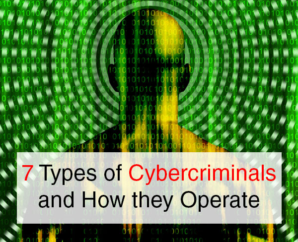 7 Types of Cybercriminals and How they Operate